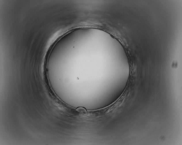 X0000100380340200807031930