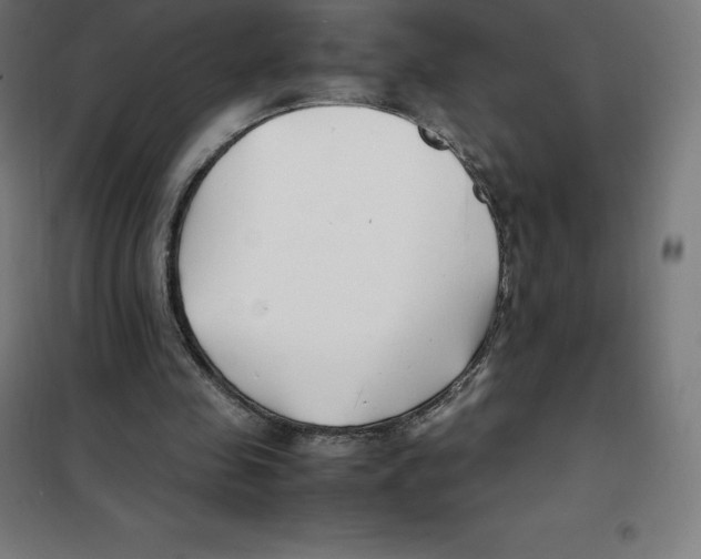 X0000100380341200807031930