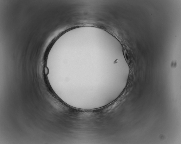 X0000100380342200807031930