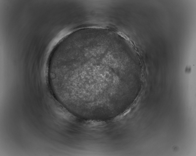 X0000100380343200807031930