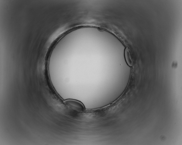 X0000100380344200807031930