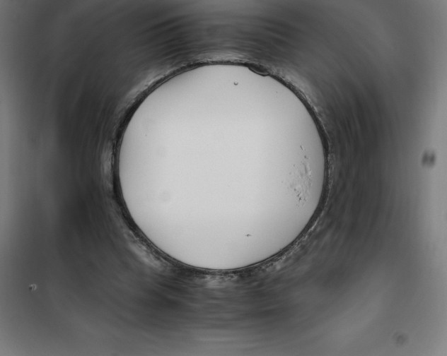 X0000100380345200807031930