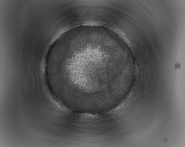 X0000100380347200807031931