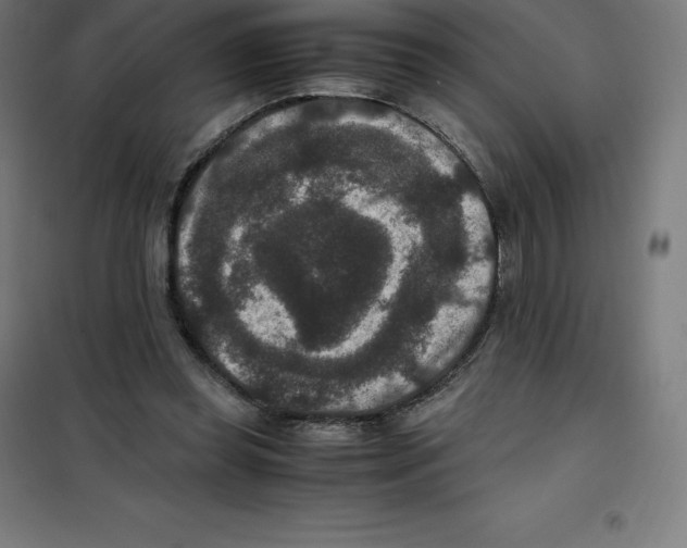 X0000100380349200807031931