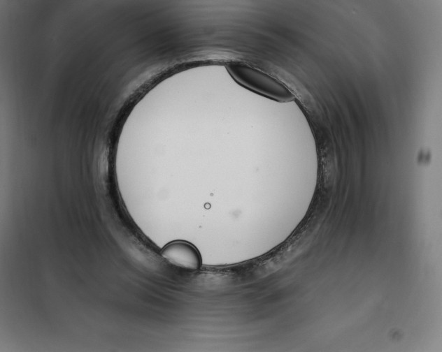 X0000100380350200807031931