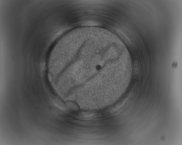 X0000100380351200807031931