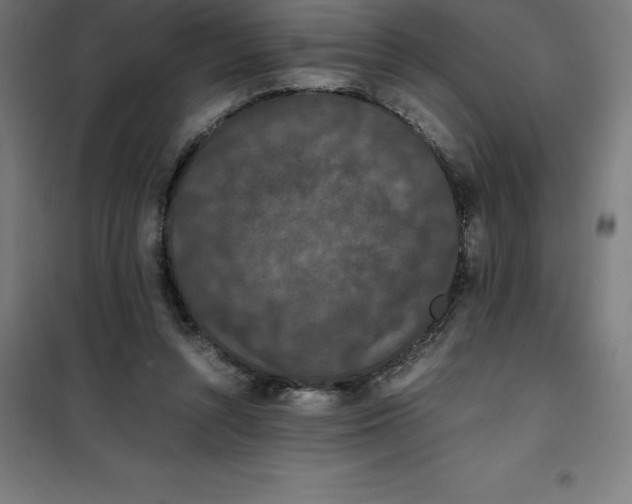 X0000100380352200807031931