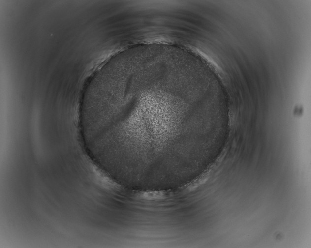 X0000100380353200807031931
