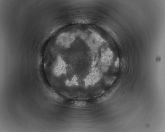 X0000100380355200807031931