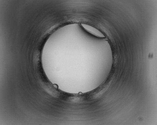 X0000100380356200807031931