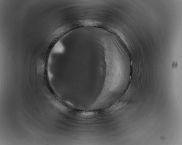 X0000100380357200807031931