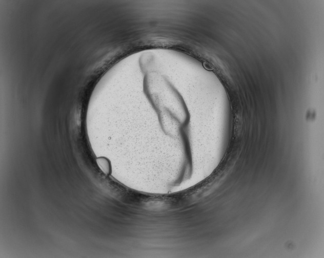 X0000100380358200807031931