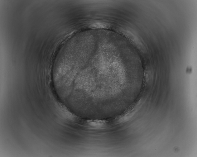 X0000100380359200807031931