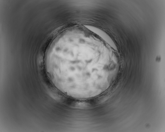 X0000100380360200807031931