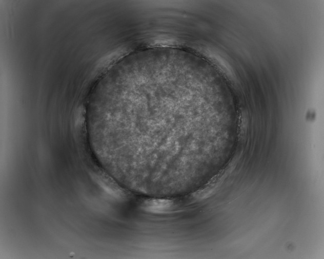 X0000100380361200807031931