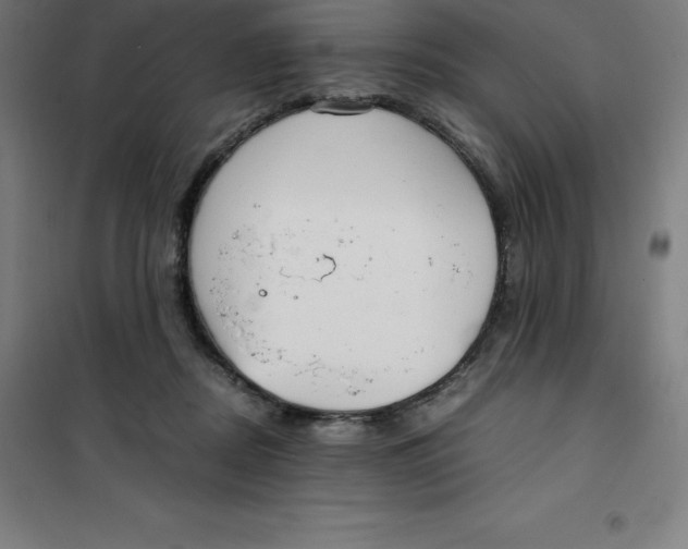 X0000100380362200807031931