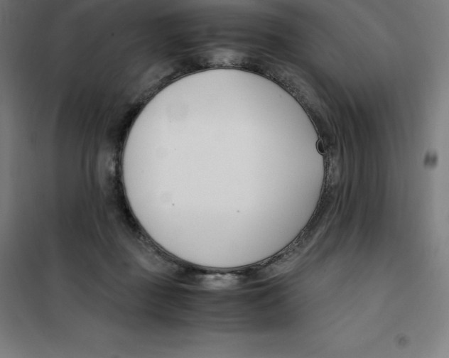 X0000100380363200807031931