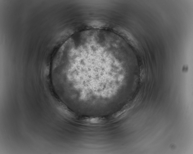 X0000100380365200807031931