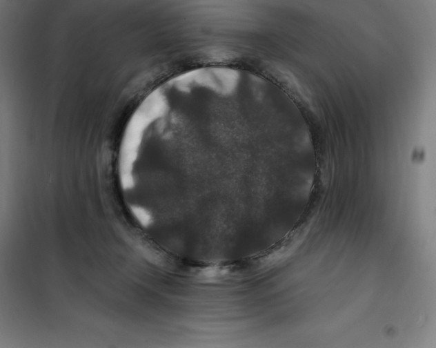 X0000100380366200807031931