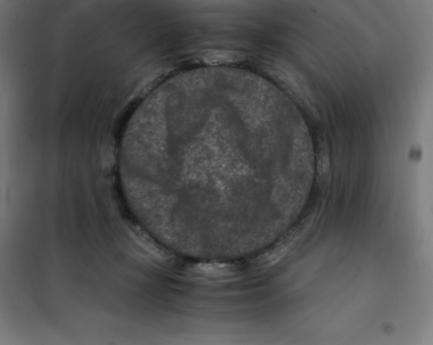 X0000100380367200807031931