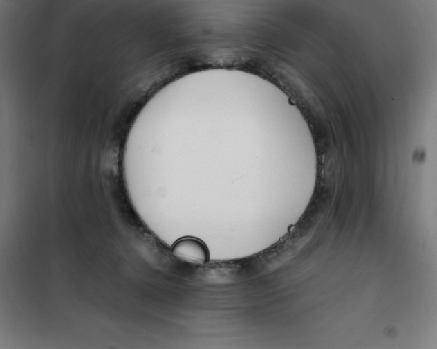 X0000100380368200807031931