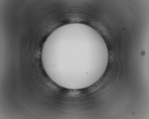 X0000100380369200807031931