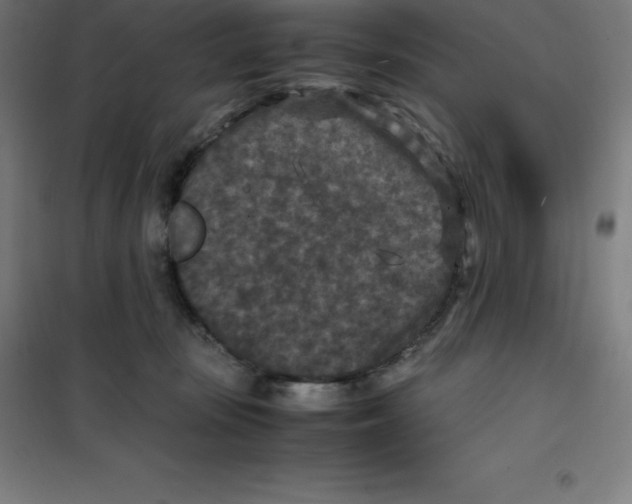 X0000100380371200807031931