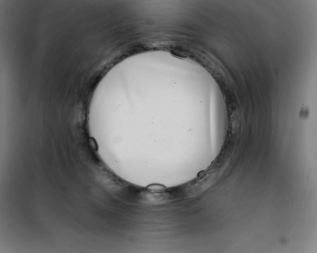 X0000100380372200807031931