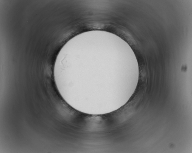 X0000100380374200807031931