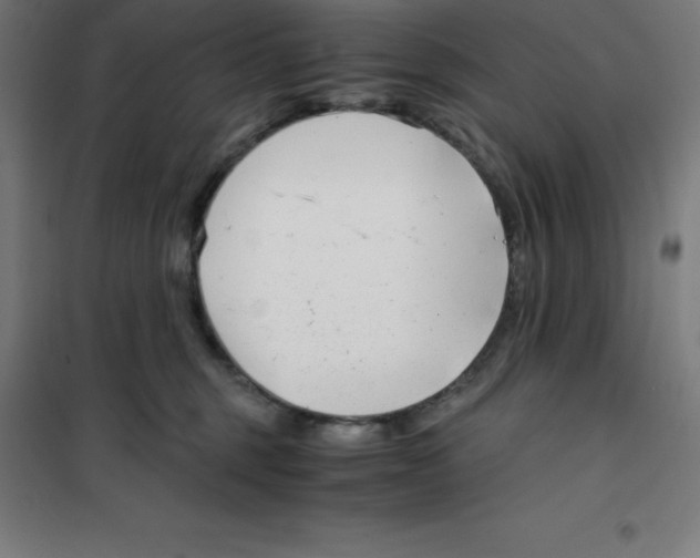 X0000100380375200807031931