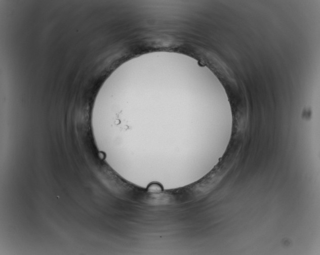 X0000100380376200807031931