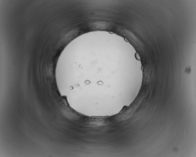 X0000100380377200807031931