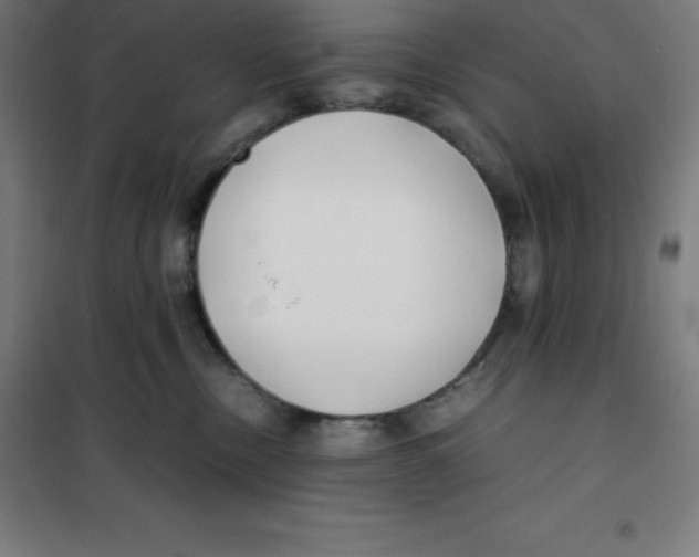 X0000100380378200807031931
