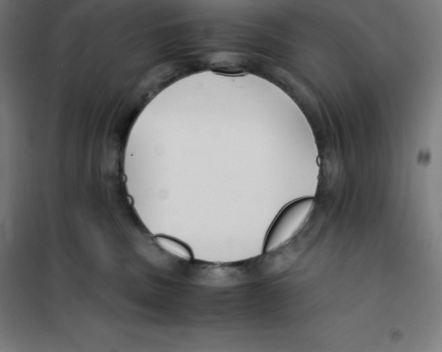 X0000100380379200807031931