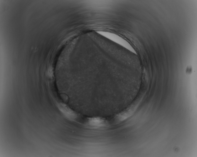 X0000100380380200807031931