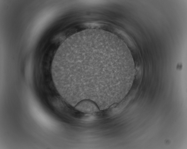 X0000100380381200807031931