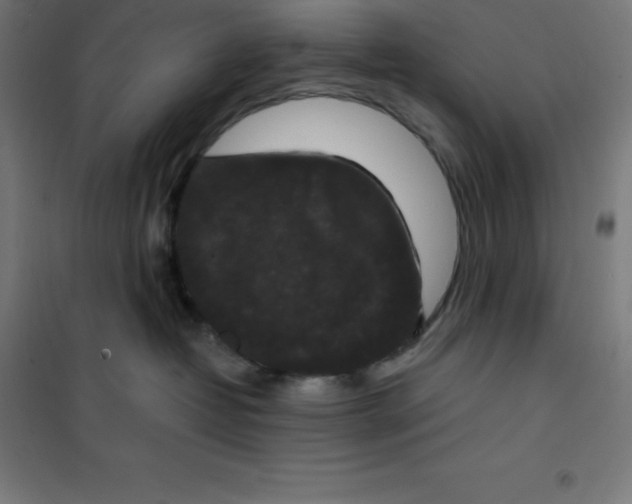 X0000100380382200807031931