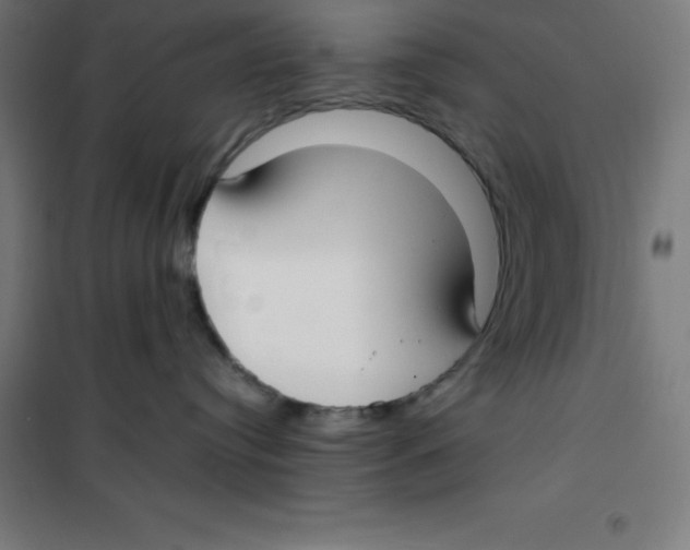 X0000100380384200807031931