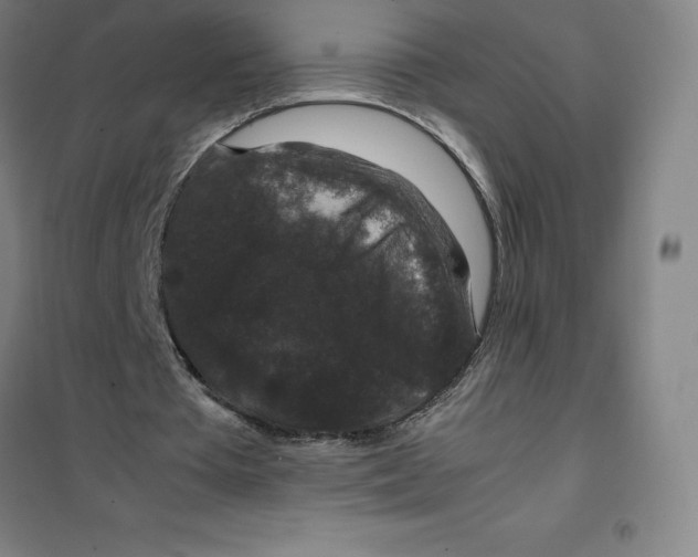 X0000100380385200807031930