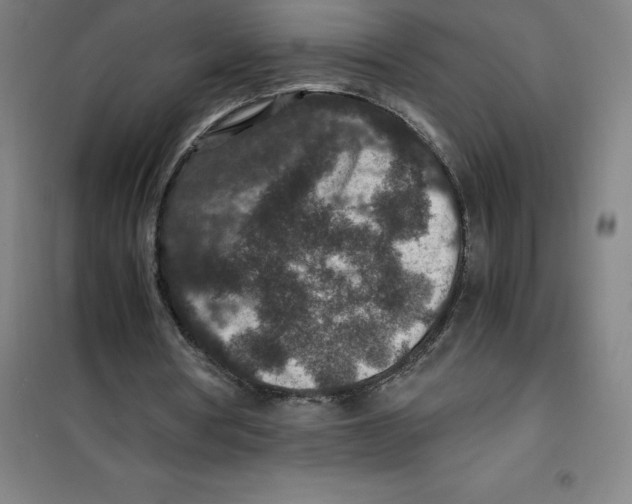 X0000100380386200807031930