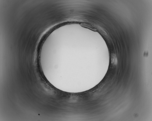 X0000100380388200807031930
