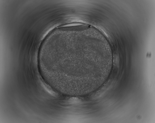 X0000100380390200807031930