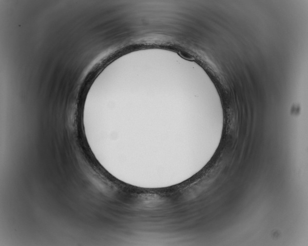 X0000100380392200807031930
