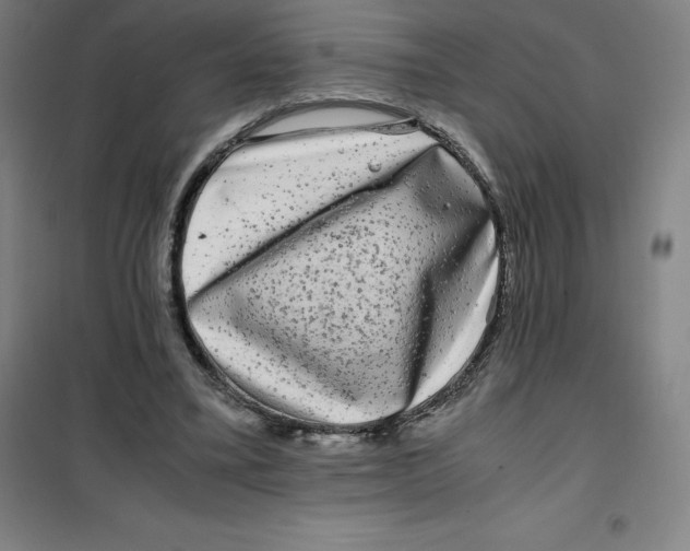 X0000100380395200807031930