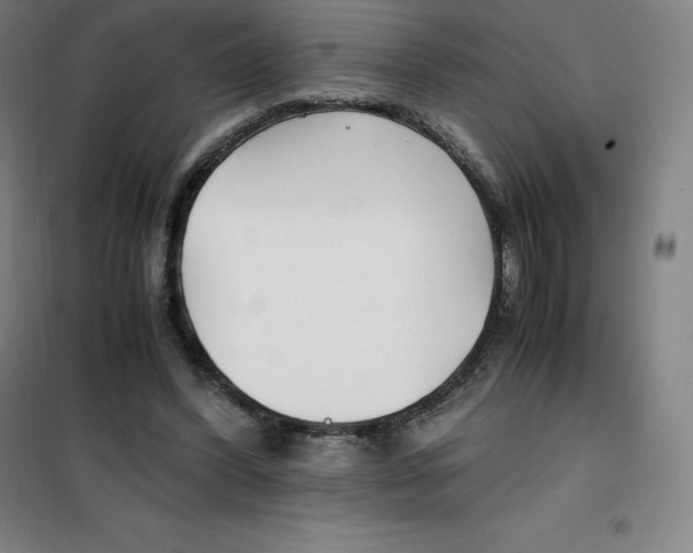 X0000100380396200807031930
