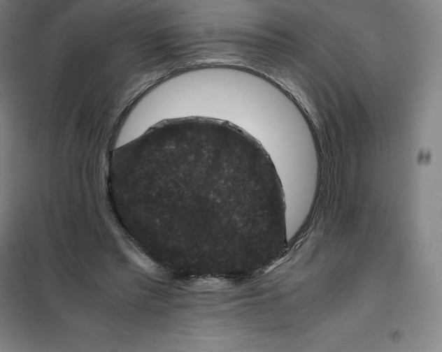 X0000100380397200807031930