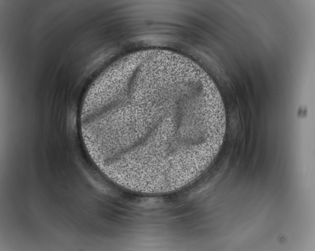 X0000100380398200807031930