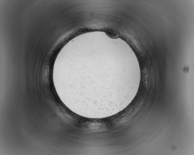 X0000100380400200807031930
