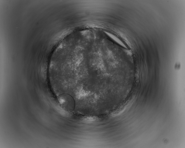 X0000100380402200807031930
