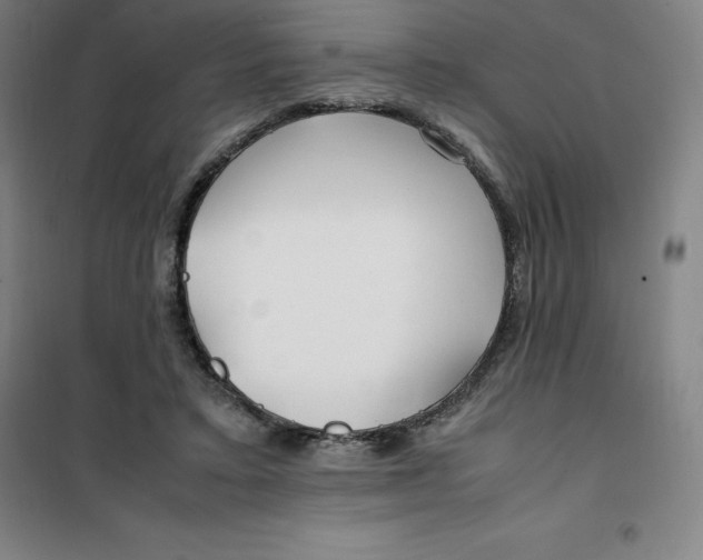 X0000100380403200807031930